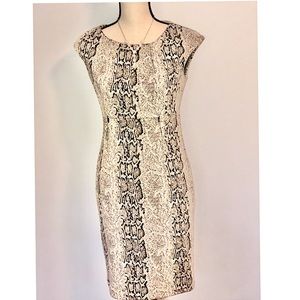 Snazzy Calvin Klein Work dress